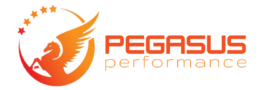 Pegasus Performance